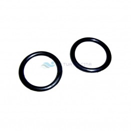 Garnitura O-ring 60x8 filtru AstralPool