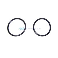 Garnitura O-Ring filtru Millenium AstralPool