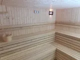 Lemn Abachi pentru sauna — imaginea 2